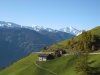 Meraner-Hoehenweg-Blick-zu-den-Ortleralpen.jpg