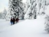 Schneeschuhtour-Tegernsee-Schliersee.JPG