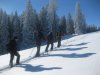 Schneeschuhwanderung-gefuehrt-auf-dem-Weg-zur-Hochries.jpg