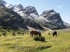 Dolomitenhoehenweg1-Grossfanesalm.jpg