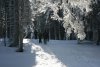 Schneeschuhwanderung-Bad-Toelz-Zwiesel-Blomberg-Heigelkopf.jpg