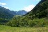 Piemont-Valle-Maira-duftende-Blumenwiese.jpg