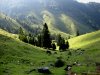 Trainsjoch-Almengelnde-Bergwanderung-gefuehrt.jpg